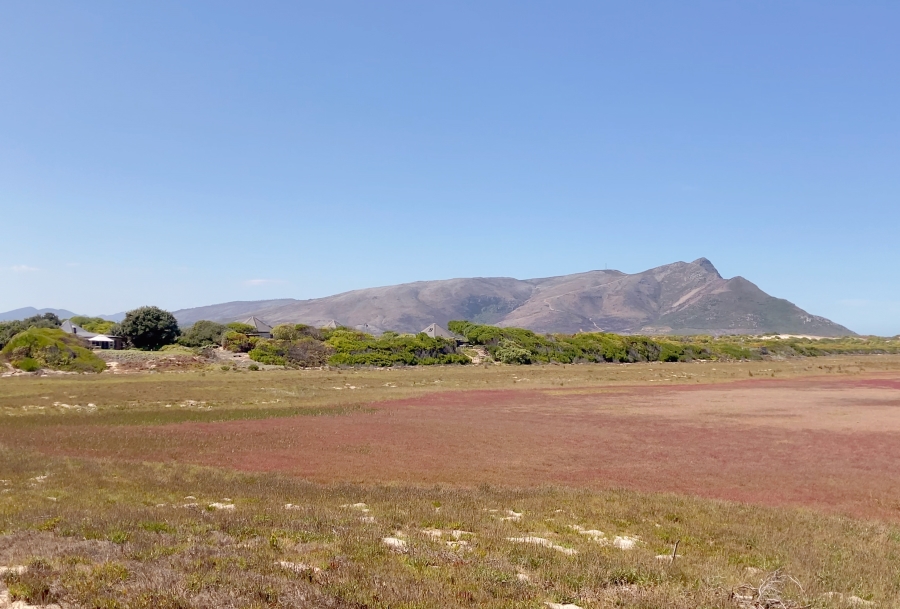 1 Bedroom Property for Sale in Meerensee Western Cape